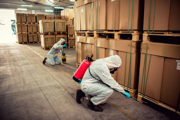 Best Bed Bug Extermination  in South Bradenton, FL