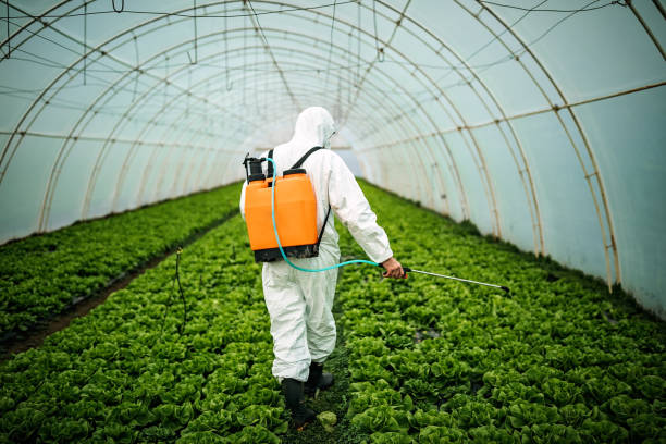 Best Pest Prevention Services  in South Bradenton, FL