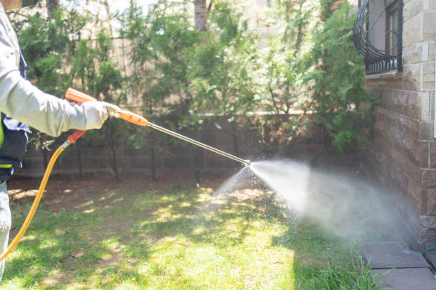 Trusted South Bradenton, FL Pest Control Experts