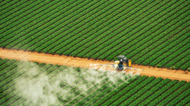 Reliable South Bradenton, FL Pest Control Solutions