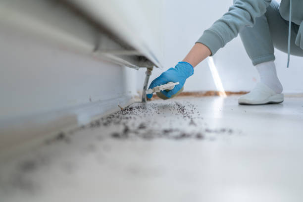 Best Residential Pest Control  in South Bradenton, FL
